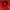 DogTown Casual Bomber jacket Wanita red photo 3