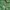 Casual T-shirt Pria green photo 3