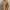 Undercover Streetwear Sweater Pria brown photo 4