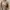 Undercover Streetwear Sweater Pria brown photo 1