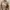 Undercover Streetwear Sweater Pria Brown