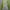 The North Face Sportswear Windbreaker Pria green photo 7