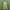 The North Face Sportswear Windbreaker Pria green photo 1