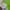 The North Face Sportswear Windbreaker Pria green photo 4