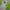 The North Face Sportswear Windbreaker Pria green photo 2