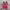 Adidas Streetwear Sneakers Pria red photo 3