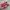 Adidas Streetwear Sneakers Pria red photo 1
