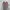 Adidas Streetwear Sneakers Pria red photo 5