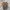 Adidas Streetwear Sneakers Pria gray photo 5