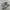 Adidas Streetwear Sneakers Pria gray photo 1