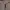 Biker Minimalist Bomber jacket Pria tan photo 2