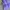 Nike ACG Vest Pria purple photo 3