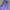 Nike ACG Vest Pria purple photo 2