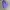 Nike ACG Vest Pria purple photo 4
