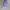 Nike ACG Vest Pria Purple
