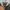 Canterbury Vintage Indie Bomber jacket Pria multicolor photo 4