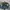 Canterbury Vintage Indie Bomber jacket Pria multicolor photo 1