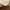 Bottega Veneta Other Wanita tan cream photo 5
