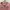 COTTONINK Minimalist Casual Shirt Wanita pink photo 2