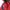 Adidas Windbreaker Pria red photo 6