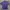 Dior Polo Shirt Pria Purple