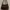 Bottega Veneta Bags & purse Wanita brown photo 2