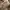 Bottega Veneta Bags & purse Wanita brown photo 3