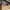 Bottega Veneta Bags & purse Wanita brown photo 4