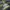 Umbro Vintage Sportswear Jersey Pria green black photo 5