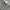 Guess Streetwear Sweater Pria multicolor photo 3