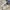 New Balance Sportswear Sneakers Wanita white tan photo 6