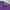 Ben Davis Vintage Y2K T-shirt Pria purple photo 4