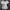 H&M T-shirt Wanita white photo 4