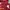 Dickies Minimalist Hoody Pria burgundy photo 3