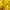 Pancoat Futurist Hoody Pria yellow photo 3