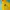 Pancoat Futurist Hoody Pria yellow photo 2