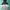 New Balance Casual Hoody Pria white black gray photo 1