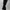 Dickies Skater Casual Casual Pants Pria Black