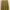Minimalist Shirt Wanita yellow photo 1