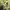 Adidas Sportswear Jersey Pria green yellow photo 4