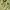 Adidas Sportswear Jersey Pria green yellow photo 3