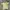 Adidas Sportswear Jersey Pria green yellow photo 1