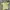Adidas Sportswear Jersey Pria Green Yellow
