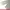 Supreme Cosplay Casual Hoody Wanita multicolor gold silver purple burgundy white green tan navy red pink brown khaki black orange gray cream blue yellow photo 6