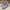 Adidas Casual Sneakers Pria multicolor photo 2