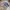 Adidas Casual Sneakers Pria multicolor photo 1