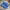 Adidas Casual Sneakers Pria green blue photo 1