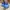 Adidas Casual Sneakers Pria blue photo 3