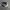 Supreme Luxury Hat Pria gray photo 4
