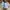 Salomon Casual Sneakers Pria white photo 3